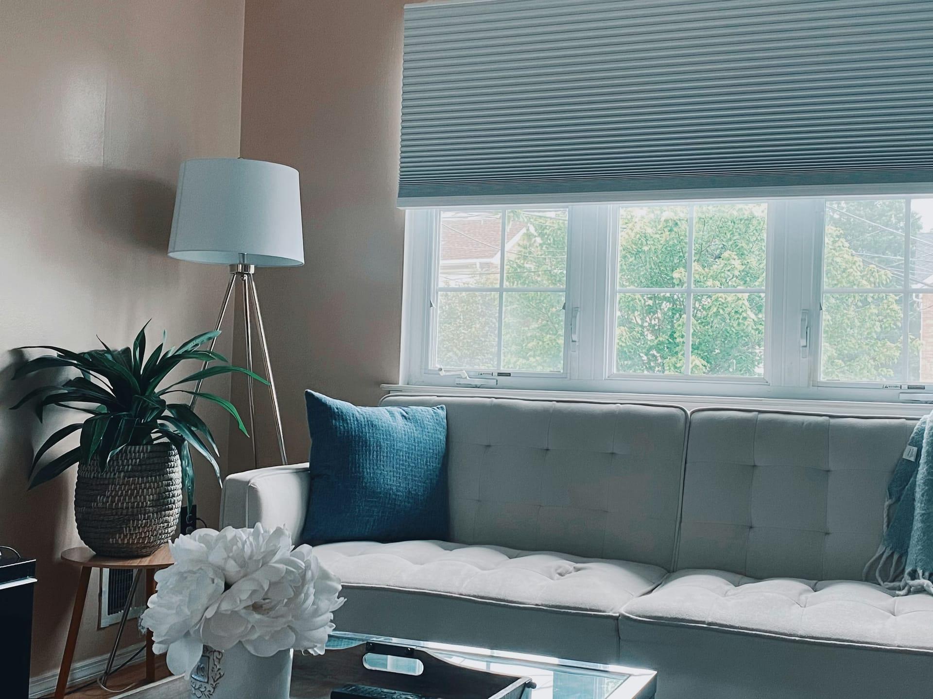 Automated Blinds