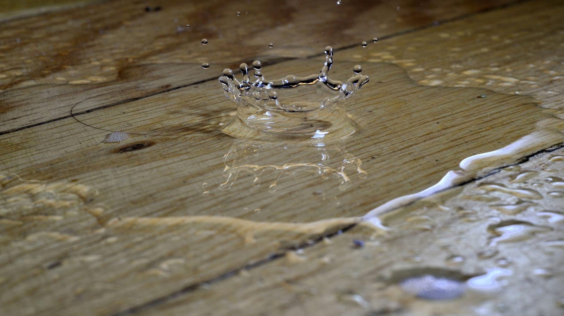 Water Leak Detection